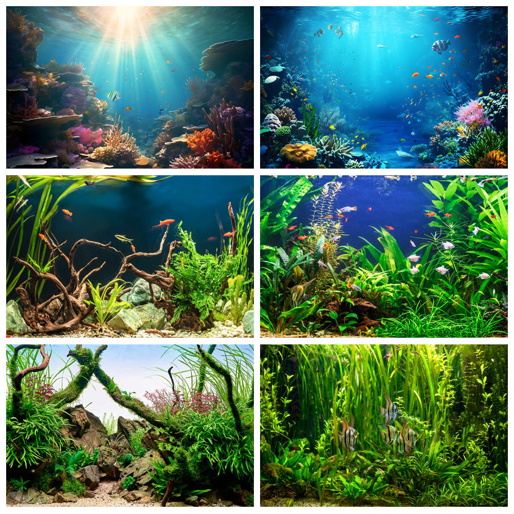 Aquarium Marine World - Unter Meerestierboden Welt Fotografie Hintergrund Unterwasser