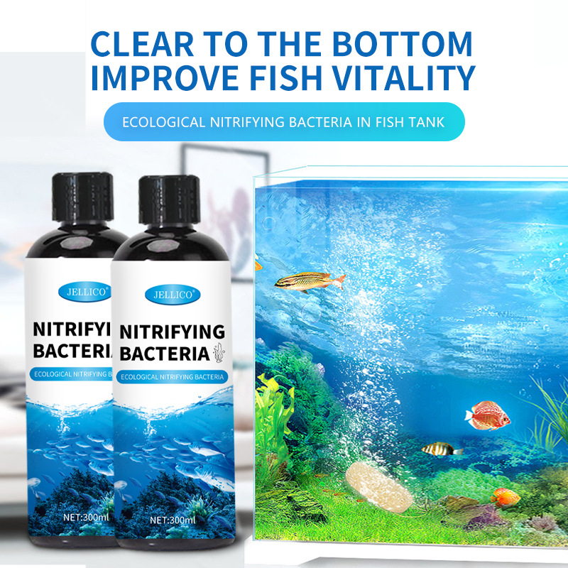 Aquarium Marine Clearwater - 300ml Nitrifizierende Bakterien Aquarium-Wasserreiniger Zersetzen Fischabfälle