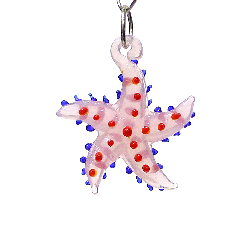 Marine Aquarium & Regional Centre Reviews - Niedliche meeres tiere Seestern Charme Miniatur
