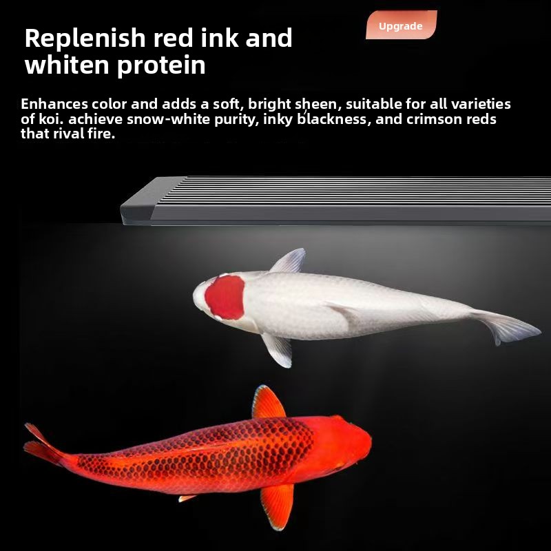 Aquarium Marine Clearwater - LED-Aquariumbeleuchtung für Fischbecken mit Meeresbeleuchtungssystem zur