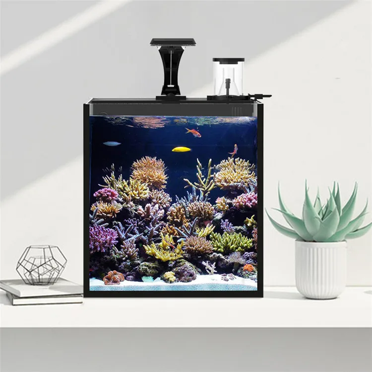 Neuestes Modell Klarglas Mini  – Aquarium Marine Clearwater Bewertung und Preis