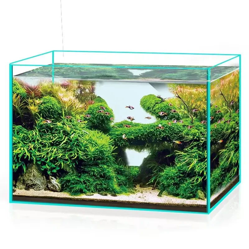 Ultraklares Glas-Aquarium für  – Aquarium Marine Clearwater Bewertung und Preis