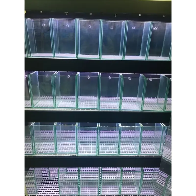 Ultraklares Glas-Aquarium für  – Aquarium Marine Clearwater Bewertung und Preis