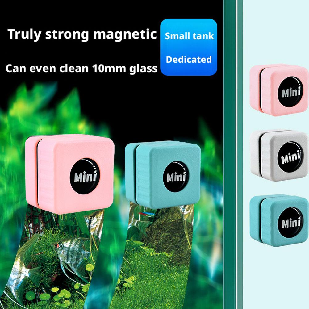 Magnetischer Aquarium-Glasrein – Marine Aquarium Glass Scraper Bewertung und Preis