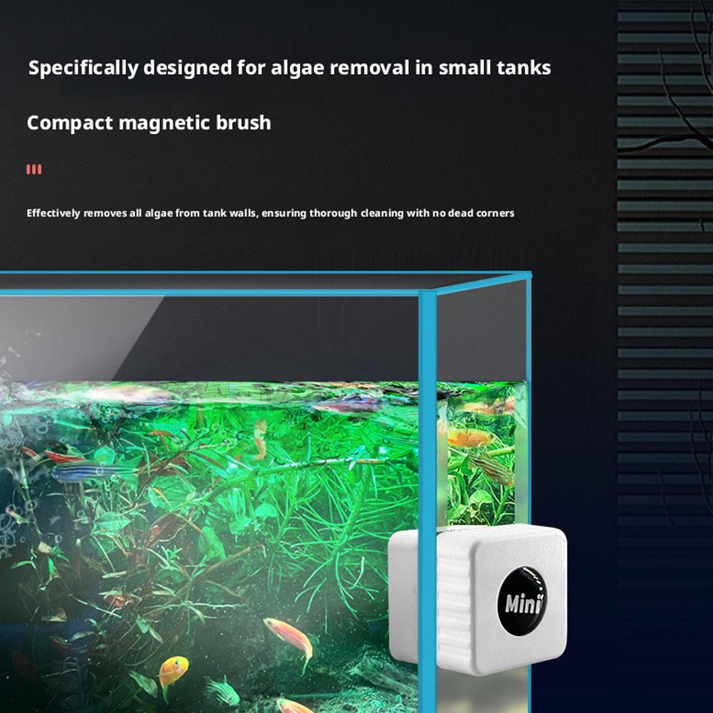 Magnetischer Aquarium-Glasrein – Marine Aquarium Glass Scraper Bewertung und Preis