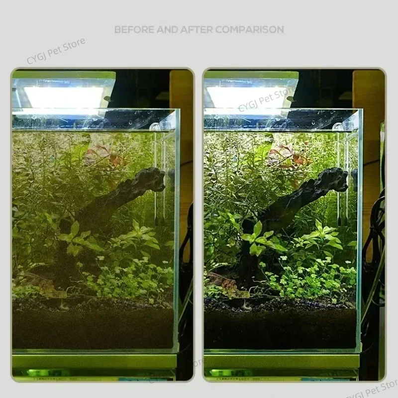 Aquarium Reinigung Werkzeug Fl – Marine Aquarium Glass Scraper Bewertung und Preis