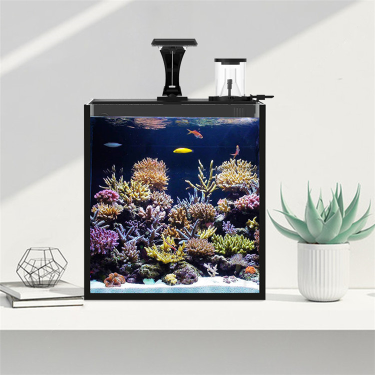 Skynuo Ultra Klares Glas Mini  – Aquarium Marine Clearwater Bewertung und Preis