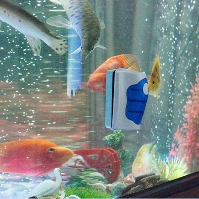 Aquarium Glas Schaber Reiniger – Marine Aquarium Glass Scraper Bewertung und Preis
