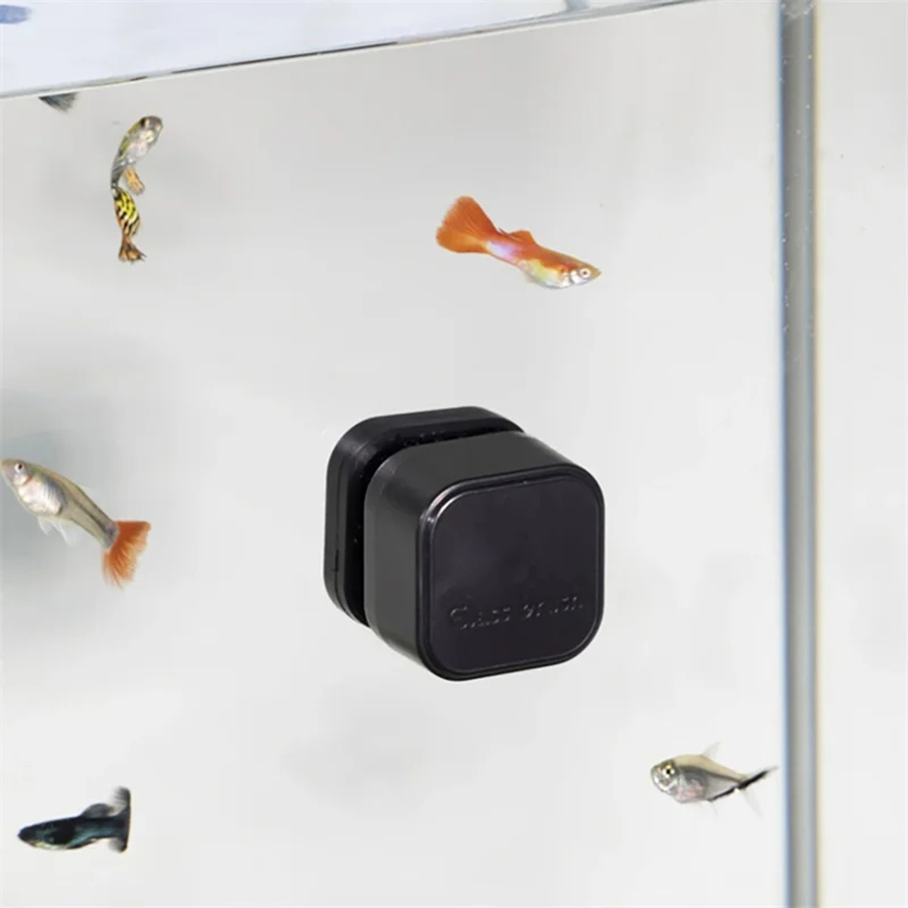 1 Stück Magnetischer Aquarium- – Marine Aquarium Glass Scraper Bewertung und Preis
