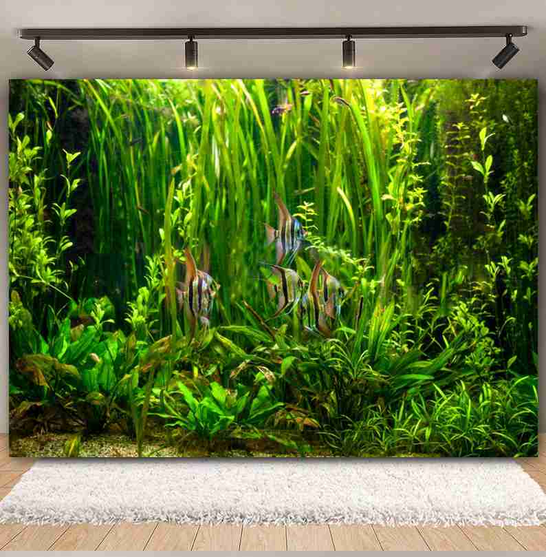 Unter Meerestierboden Welt Fot – Aquarium Marine World Bewertung und Preis