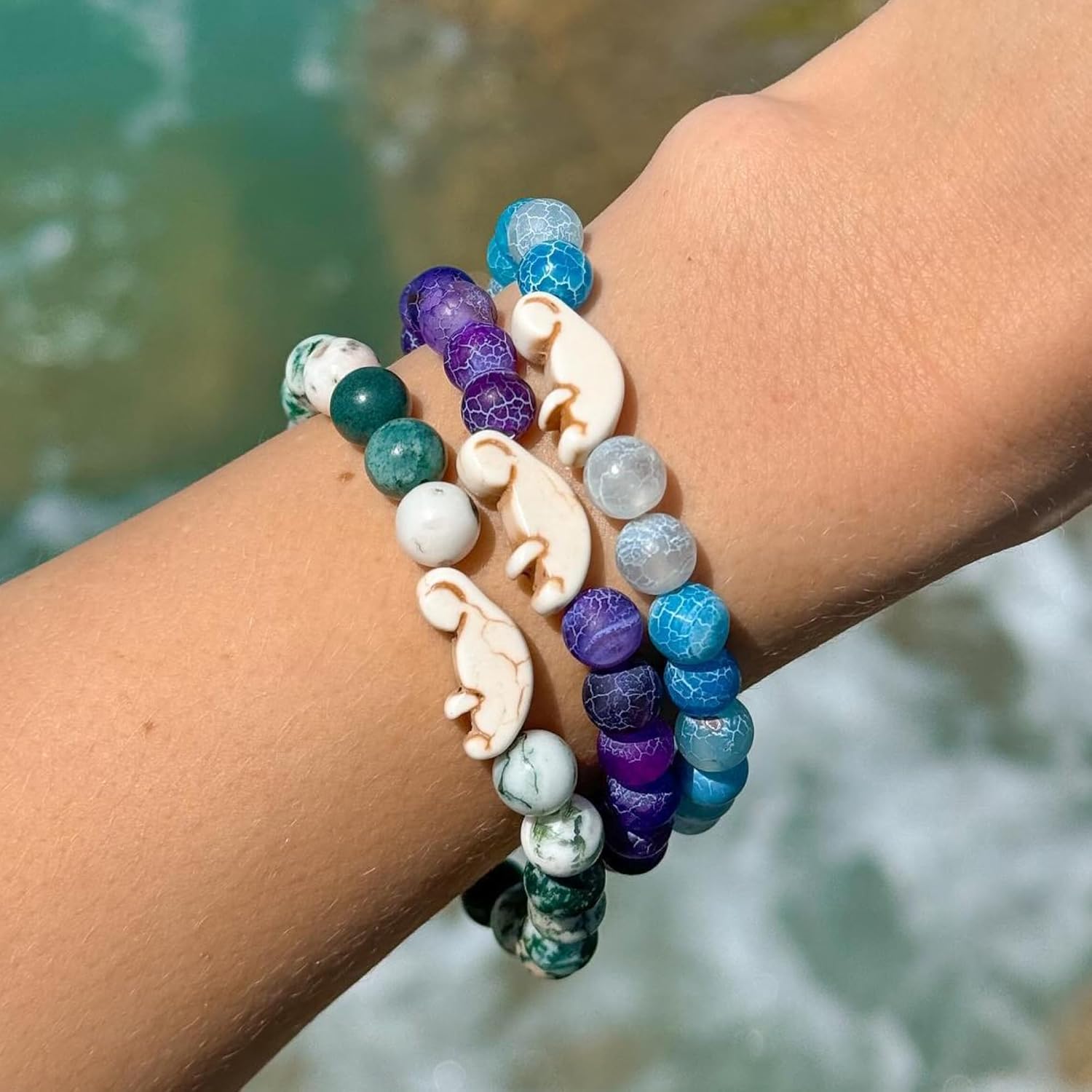 Fahlo Drift Manatee-Tracking-A – Aquarium Marine Clearwater Bewertung und Preis