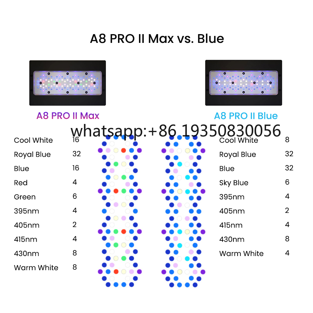 2026-A8 PRO II Max und Blue 24 – Marine Aquarium & Regional Centre Reviews Bewertung und Preis