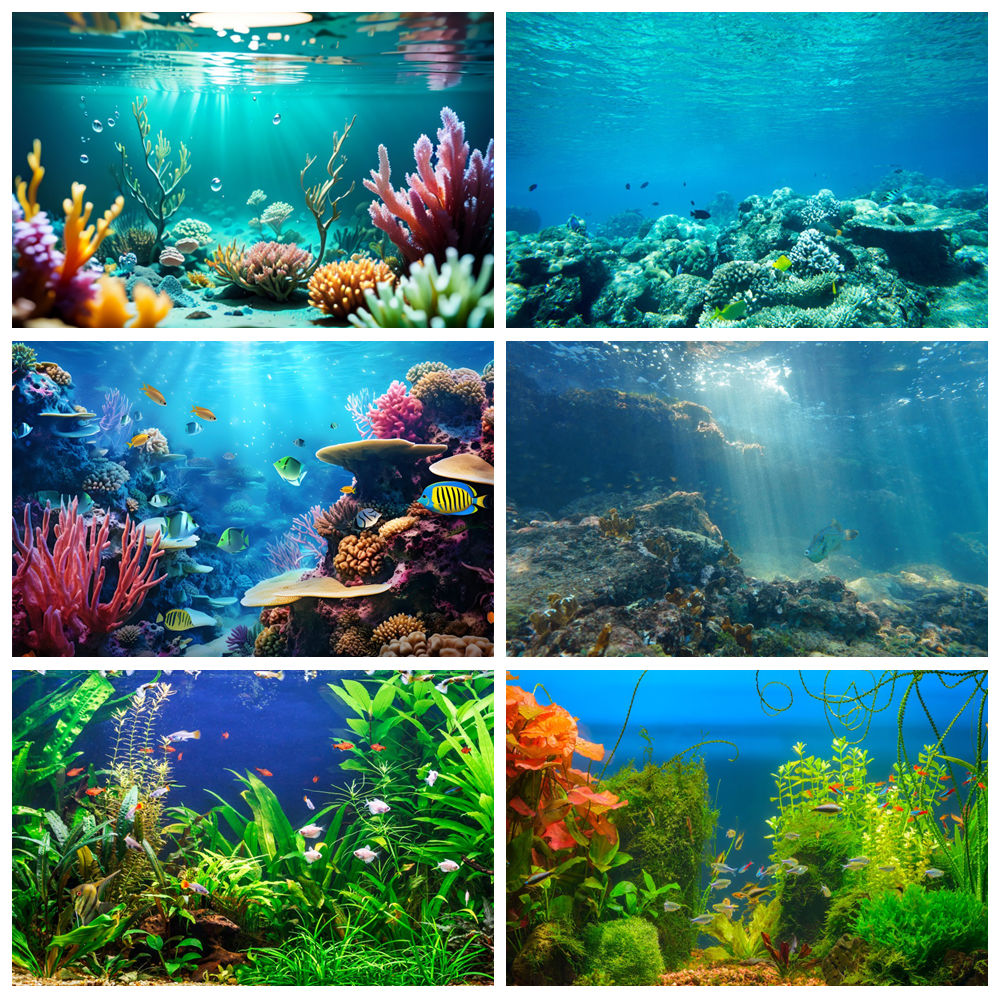 Unterwasserwelt Meeresboden Fo – Aquarium Marine World Bewertung und Preis
