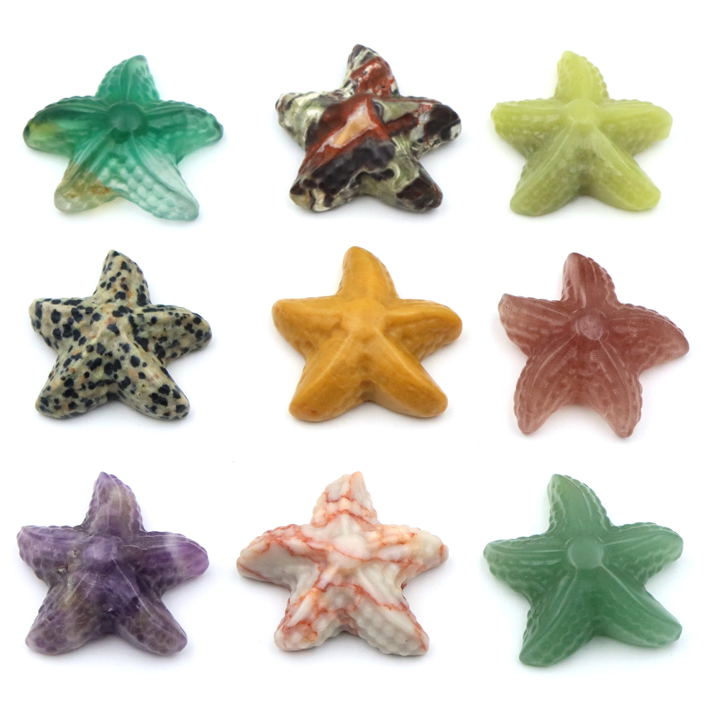 35mm Seestern Form Statue Mari – Marine Aquarium & Regional Centre Reviews Bewertung und Preis