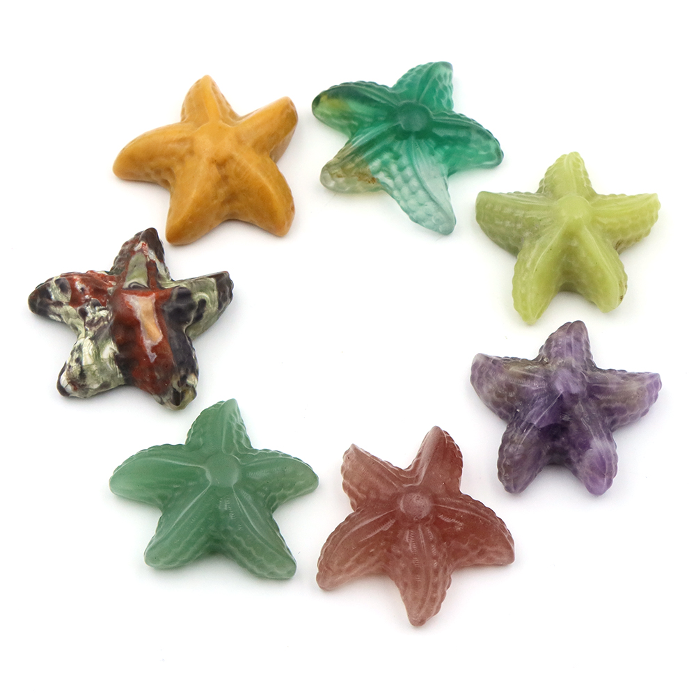 35mm Seestern Form Statue Mari – Marine Aquarium & Regional Centre Reviews Bewertung und Preis