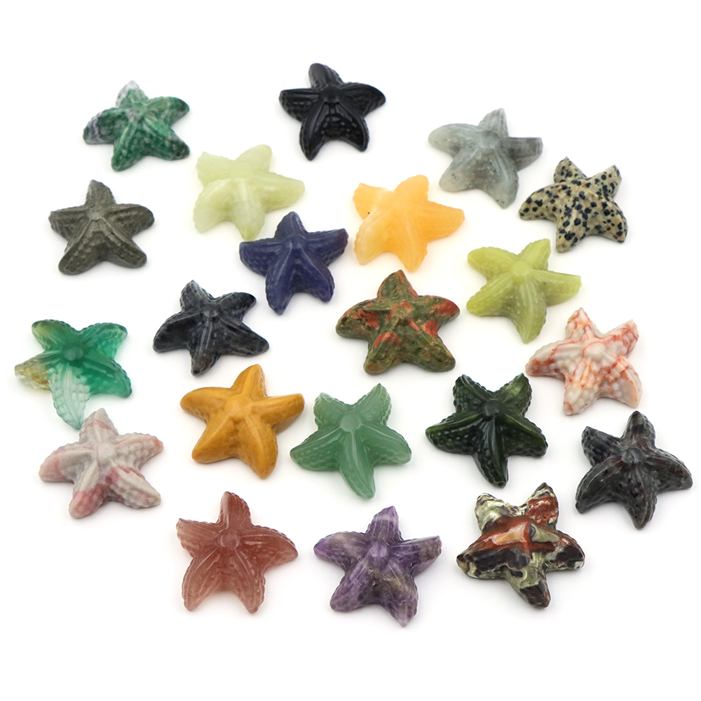 35mm Seestern Form Statue Mari – Marine Aquarium & Regional Centre Reviews Bewertung und Preis
