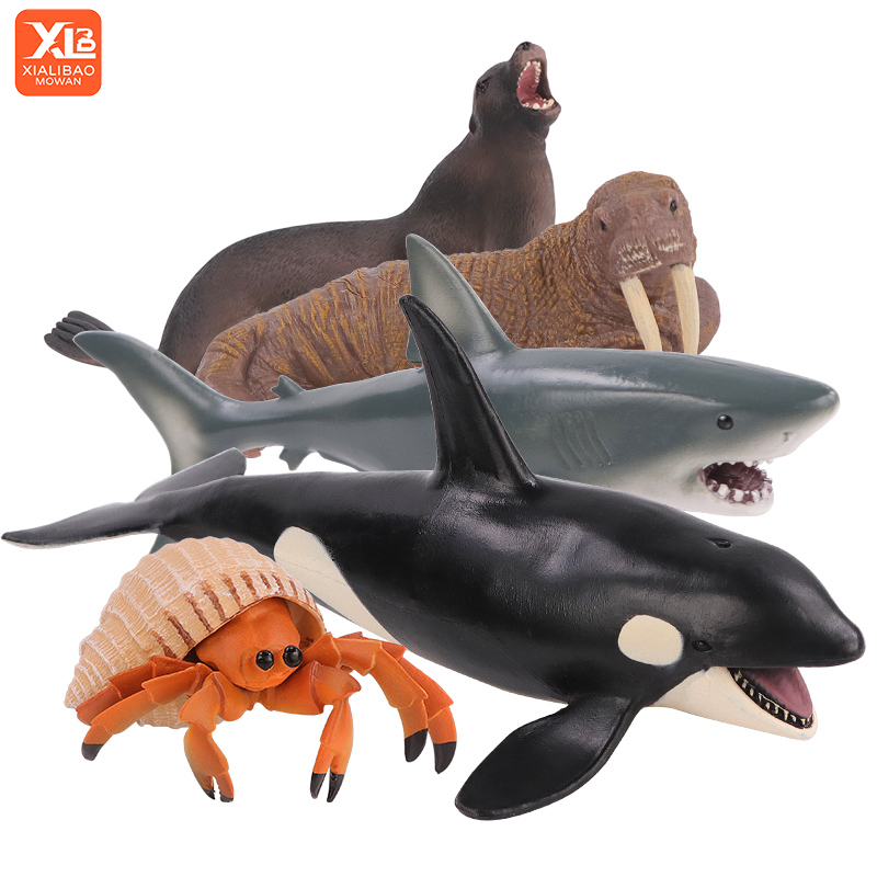 Meereslebewesen Unterwasserwel – Aquarium Marine World Bewertung und Preis