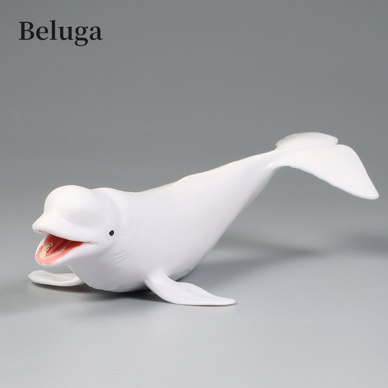 Meereslebewesen Unterwasserwel – Aquarium Marine World Bewertung und Preis