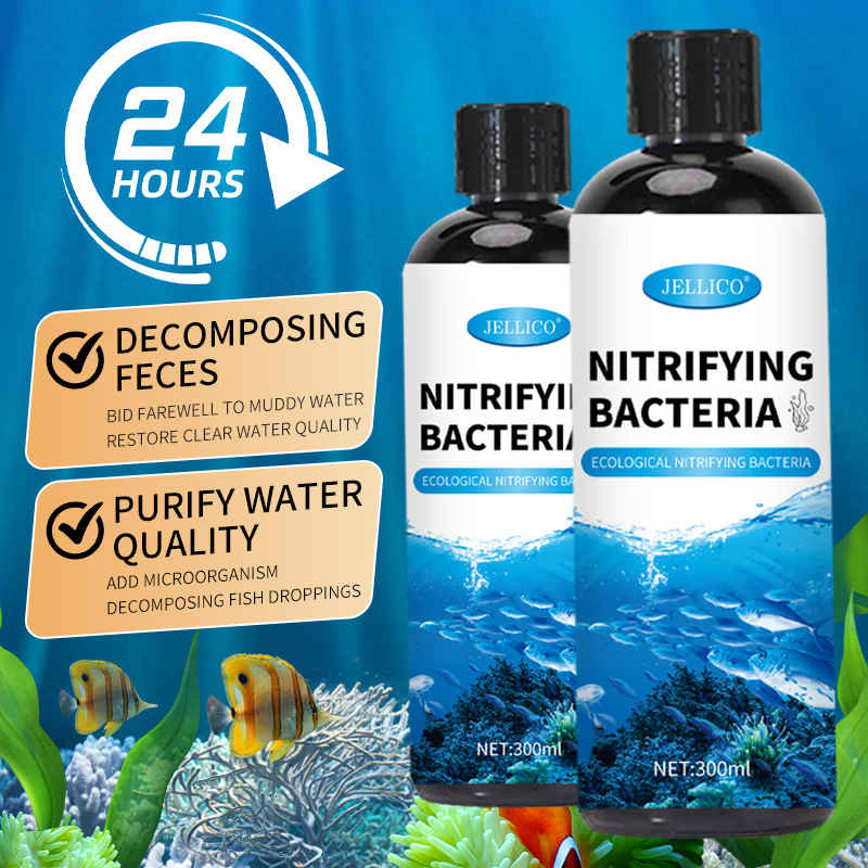 300ml Nitrifizierende Bakterie – Aquarium Marine Clearwater Bewertung und Preis