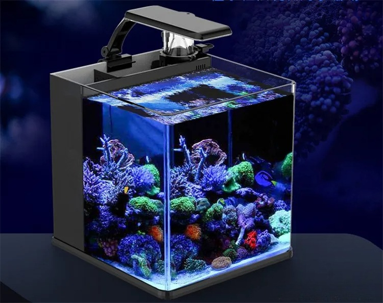 Ultraklares Glas Mini Salzwass – Aquarium Marine Clearwater Bewertung und Preis