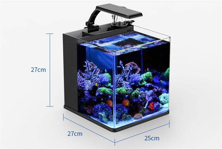Ultraklares Glas Mini Salzwass – Aquarium Marine Clearwater Bewertung und Preis