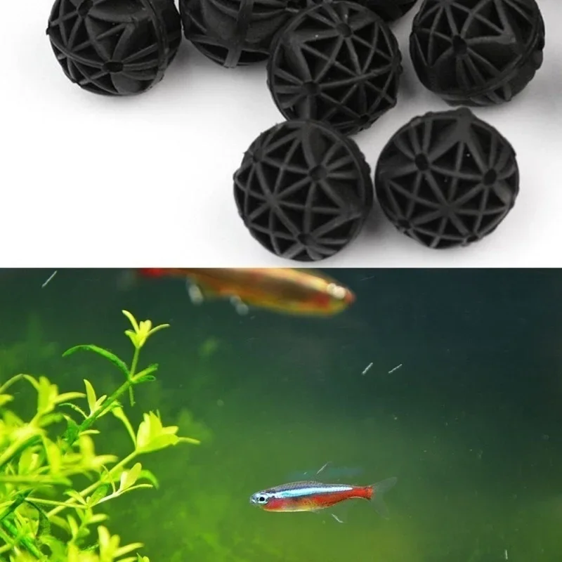 20Pcs 16mm Aquarium Filter Bio – Marine Aquarium & Regional Centre Reviews Bewertung und Preis
