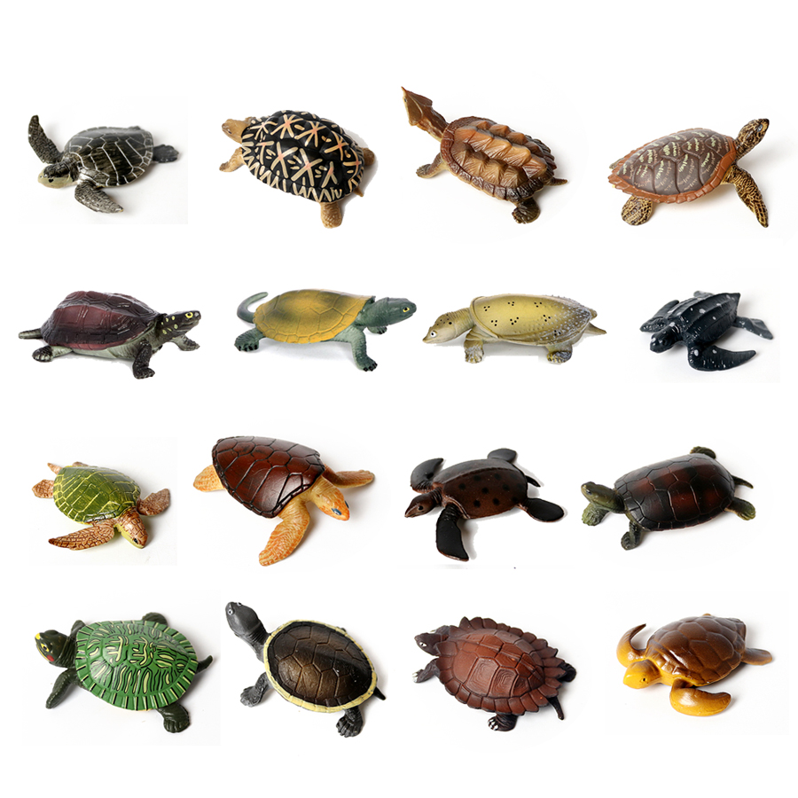 Realistische Miniaturen Meeres – Marine Aquarium & Regional Centre Reviews Bewertung und Preis