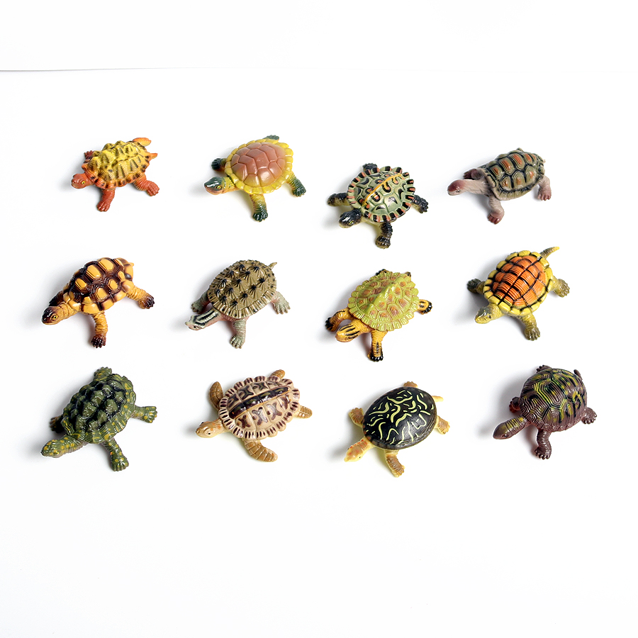 Realistische Miniaturen Meeres – Marine Aquarium & Regional Centre Reviews Bewertung und Preis
