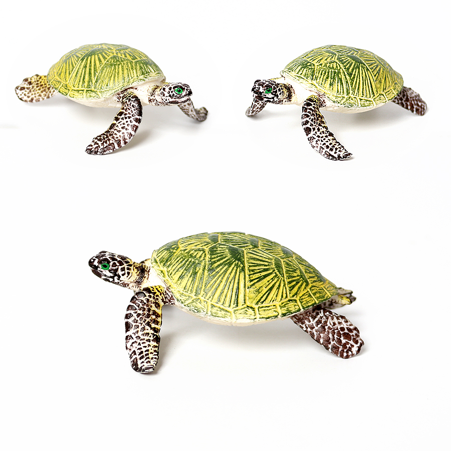 Realistische Miniaturen Meeres – Marine Aquarium & Regional Centre Reviews Bewertung und Preis